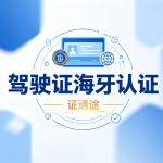 驾驶证海牙认证多少钱？收费避坑指南